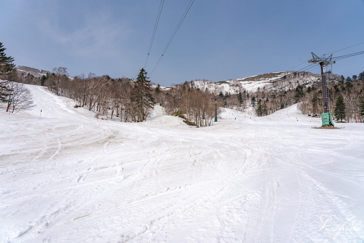 富良野スキー場　さすが富良野！4月24日現在、山麓までの全長約3,000ｍロングコースがオープン中(^^)/